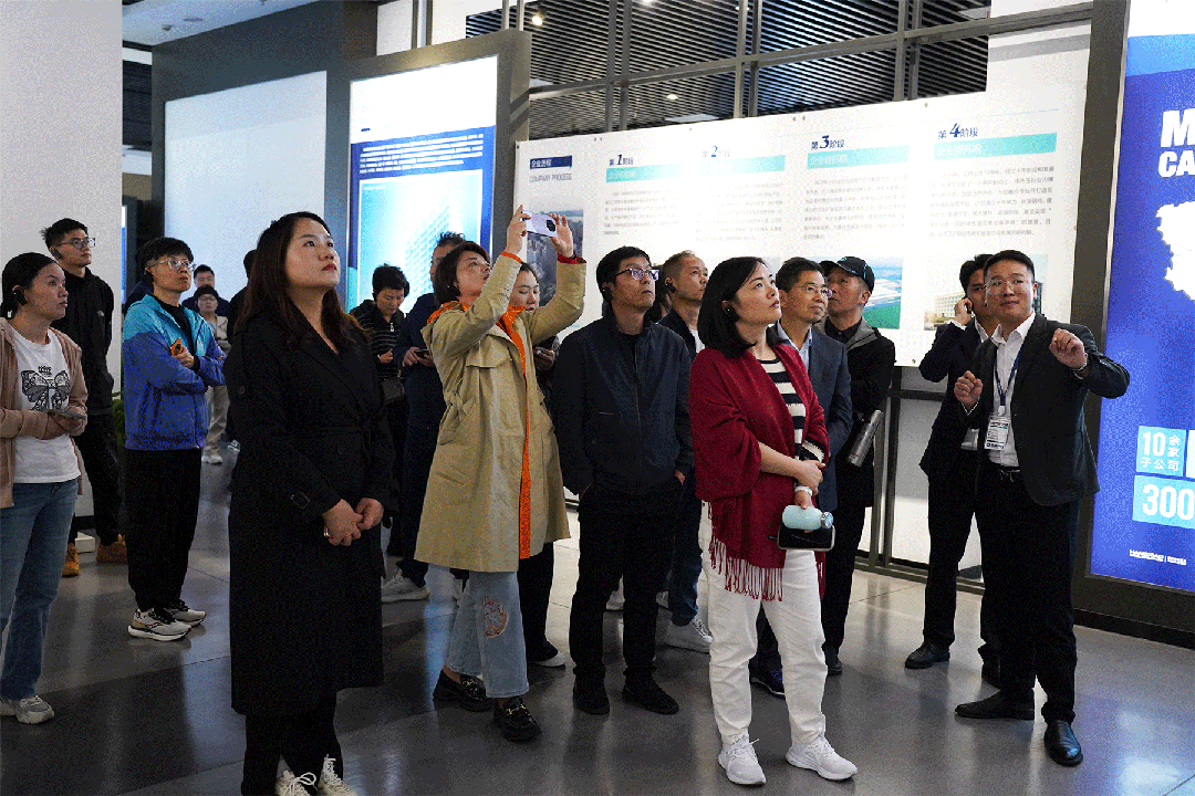 17312854465003588iuC.png 17312854465003588iuC.png